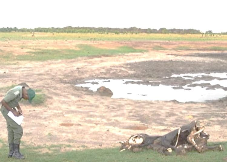 Drought in Zimbabwe a dead elephant against a pool of water while Pakistan has water shortages