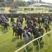 Grand National horses racing