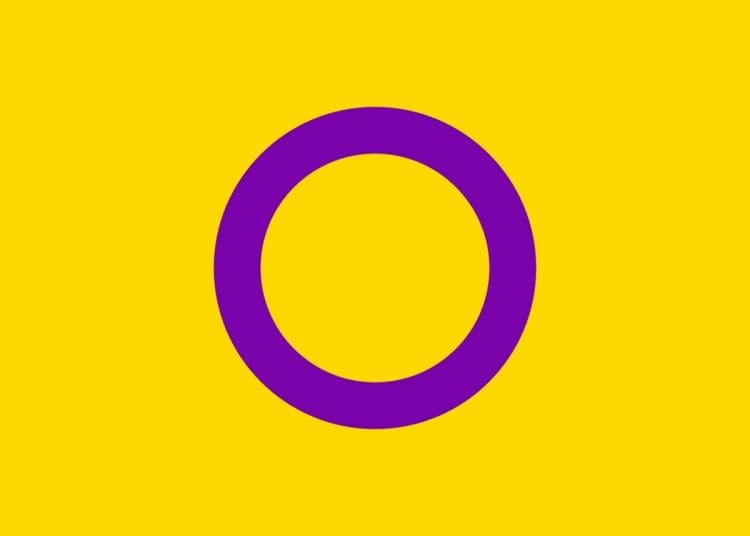 Intersex people pride flag UN resolution