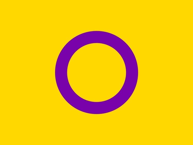 Intersex people pride flag UN resolution