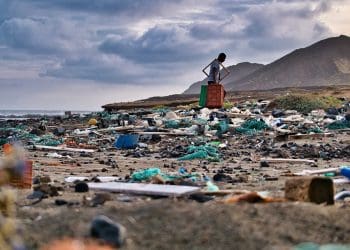 Image shows man clearing rubbish from beach INC plastic