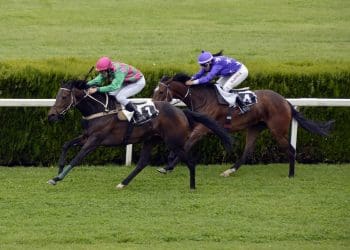 Prestbury Cup Horse Racing: The Ultimate Showdown of British and Irish Thoroughbreds