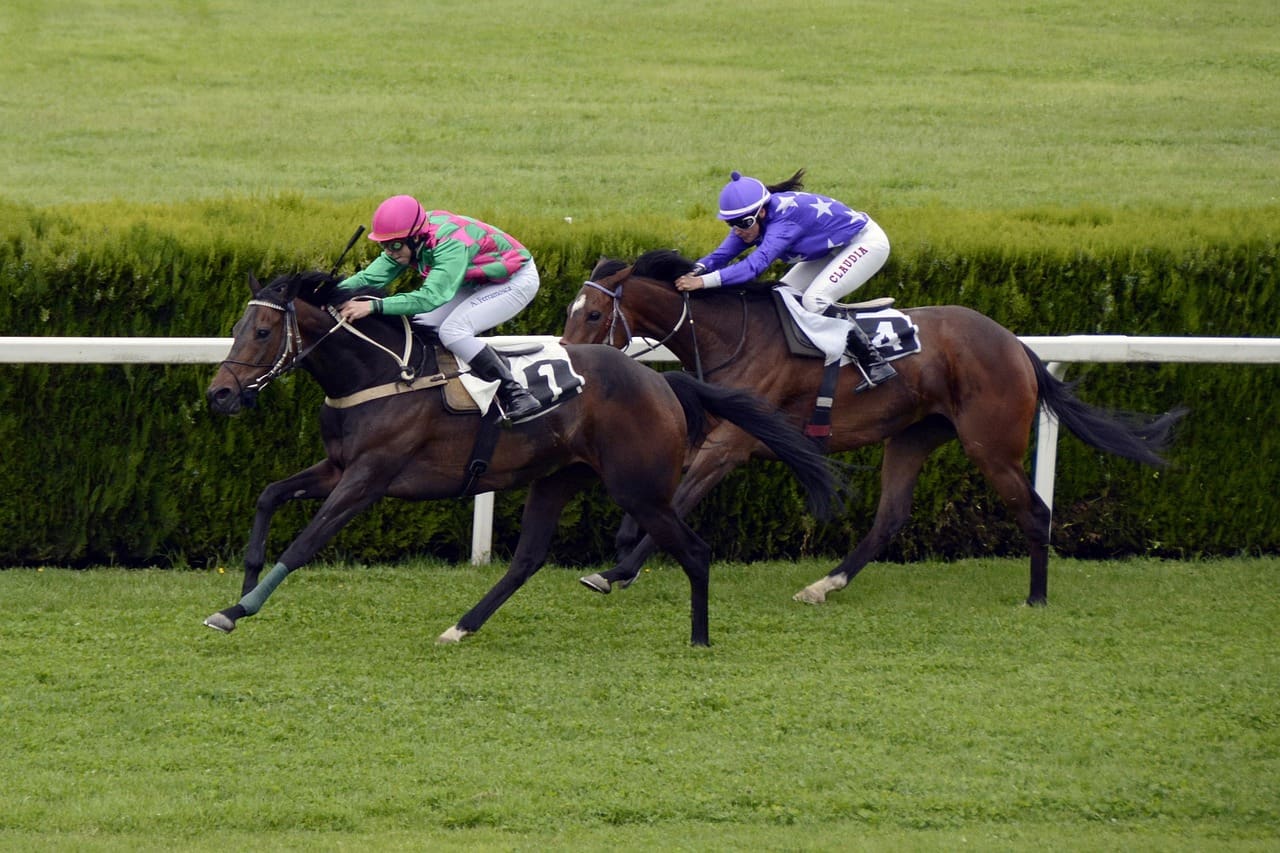 Prestbury Cup Horse Racing: The Ultimate Showdown of British and Irish Thoroughbreds