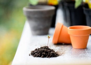 5 new hobbies to try in 2024
