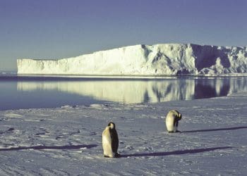 Climate crisis drove record low Antarctic sea ice levels