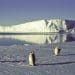 Climate crisis drove record low Antarctic sea ice levels