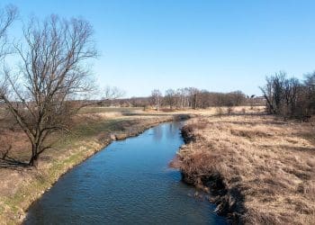 View of the Lausitzer Neiße river between Neißeaue, Germany and Piensk, Poland TFA forever chemical water