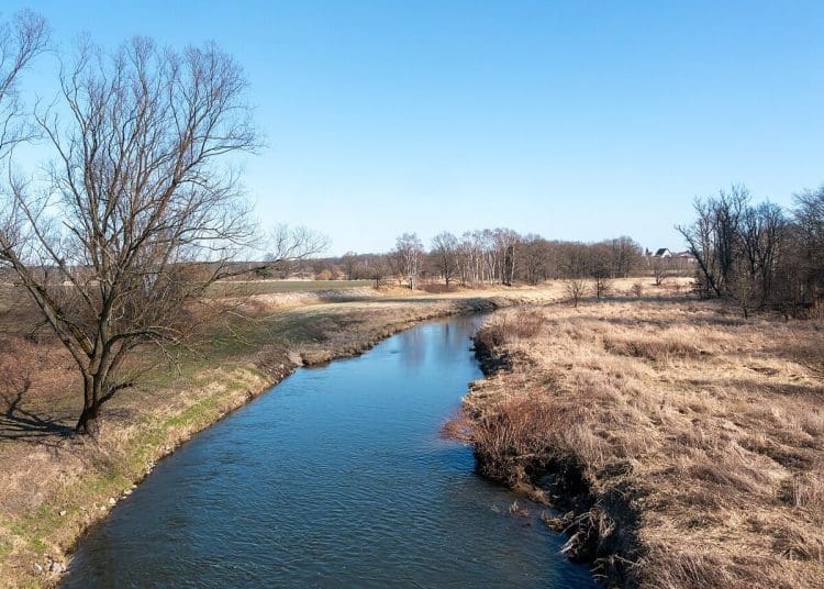 View of the Lausitzer Neiße river between Neißeaue, Germany and Piensk, Poland TFA forever chemical water