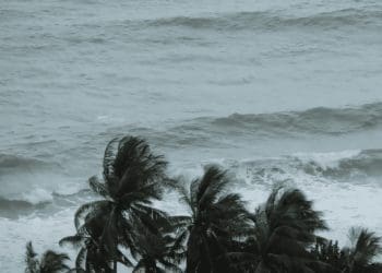 Ocean pollution small island states