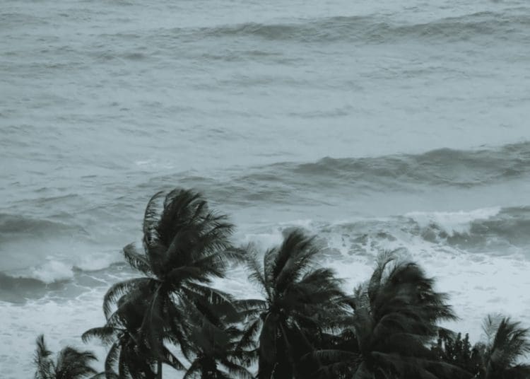 Ocean pollution small island states