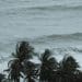 Ocean pollution small island states