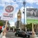 After Tory dither and delay, parliament FINALLY passes Animal Welfare Bill to protect farmed animals