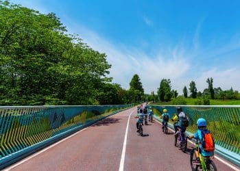 Boys’ bikes: Choosing the best ride for your son