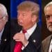 career politics