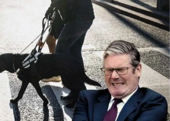 Keir Starmer grimacing at a person with a black guide dog walking across a zebra crossing because he hasn't published Labour accessible manifesto yet