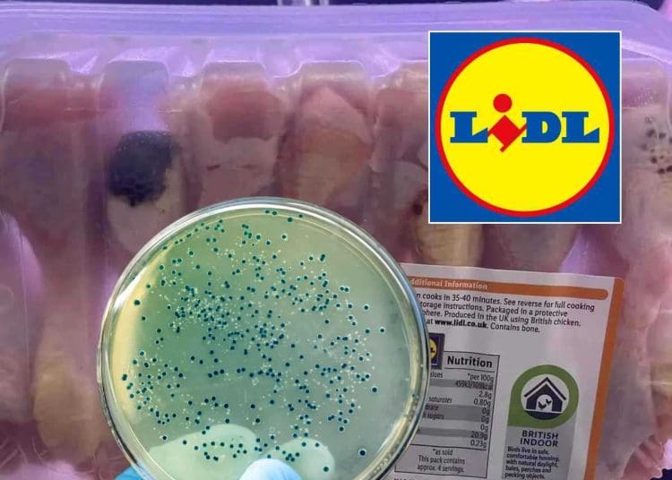 Lidl chickens E-coli