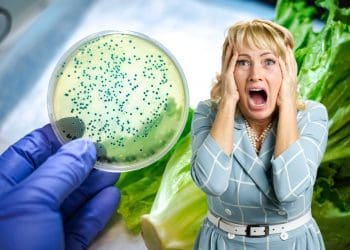 E-coli UK