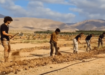 People digging to plant trees Israel green ads google