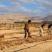 People digging to plant trees Israel green ads google