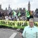 Extinction Rebellion general election