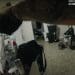 police officer's body cam in Sonya Massey's house