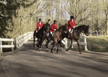 fox hunters