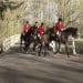 fox hunters