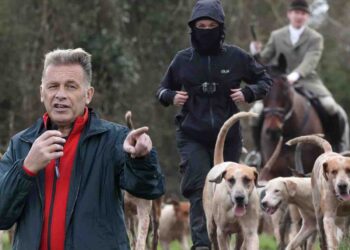 fox hunting Chris Packham Hunt Saboteurs