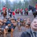 Chris Packham hunting