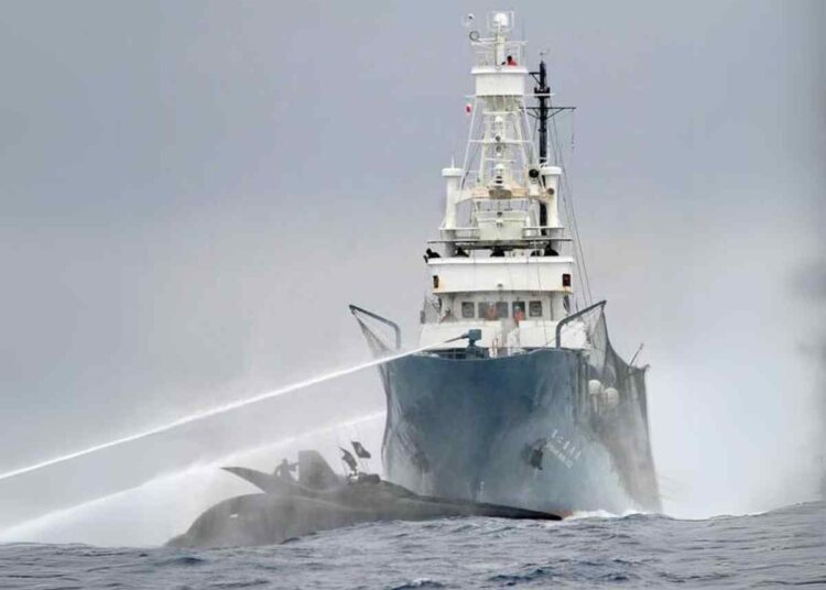 Shonan Maru and Ady Gil Captain Watson whaling