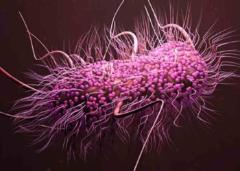 Superbugs