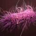 Superbugs