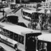 public transport buses