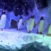 Sea Life penguins