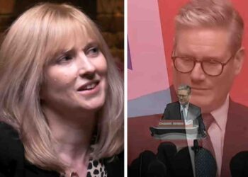 Rosie Duffield Starmer Labour resignation