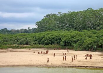 Around 20 Mashco Piro people stand on the river bank beneath a stretch of rainforest.