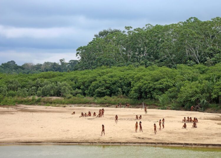 Around 20 Mashco Piro people stand on the river bank beneath a stretch of rainforest.