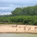 Around 20 Mashco Piro people stand on the river bank beneath a stretch of rainforest.