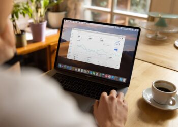 What is Identity Verification?