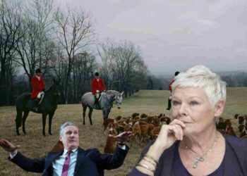 Judi Dench trail hunting Labour