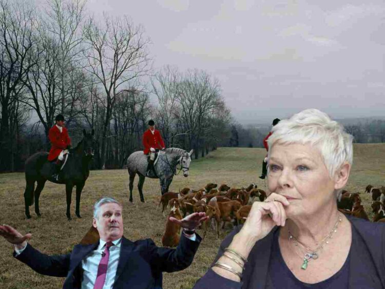 Judi Dench trail hunting Labour