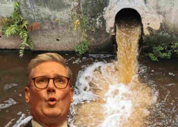 water industry