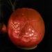 half term activities spooky