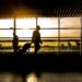 Electric Taxis to Gatwick: The Eco-Friendly Airport Transfer Revolution