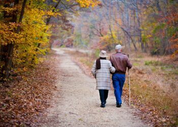 Pension Scams and the Law: How to Protect Your Retirement Savings in the UK