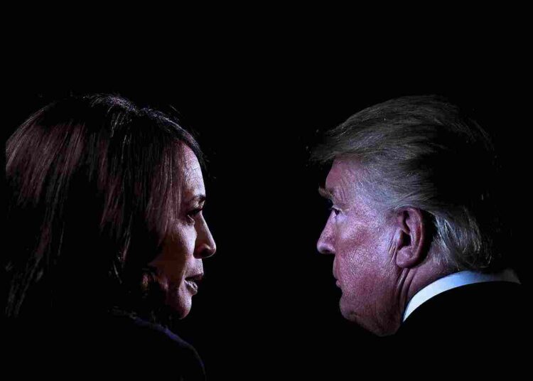 Harris Trump election