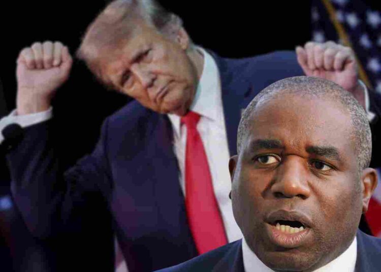 David Lammy Trump