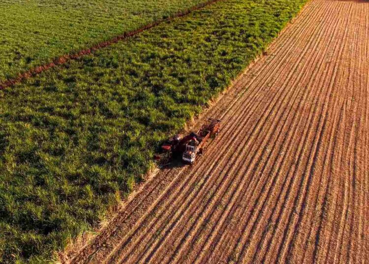 Brazil biofuel