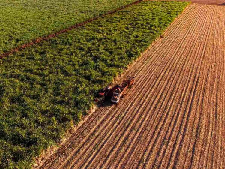 Brazil biofuel