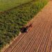 Brazil biofuel